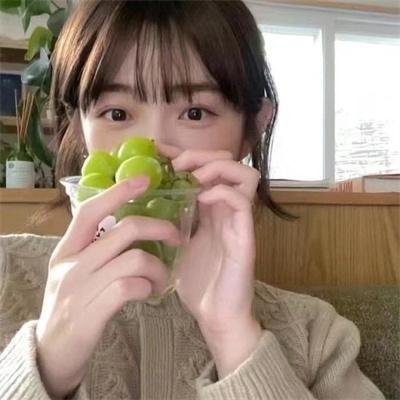 我的新拍档
